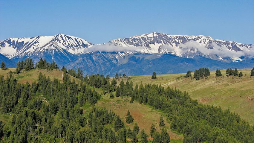 joseph mtn from catsback 6 5 2010