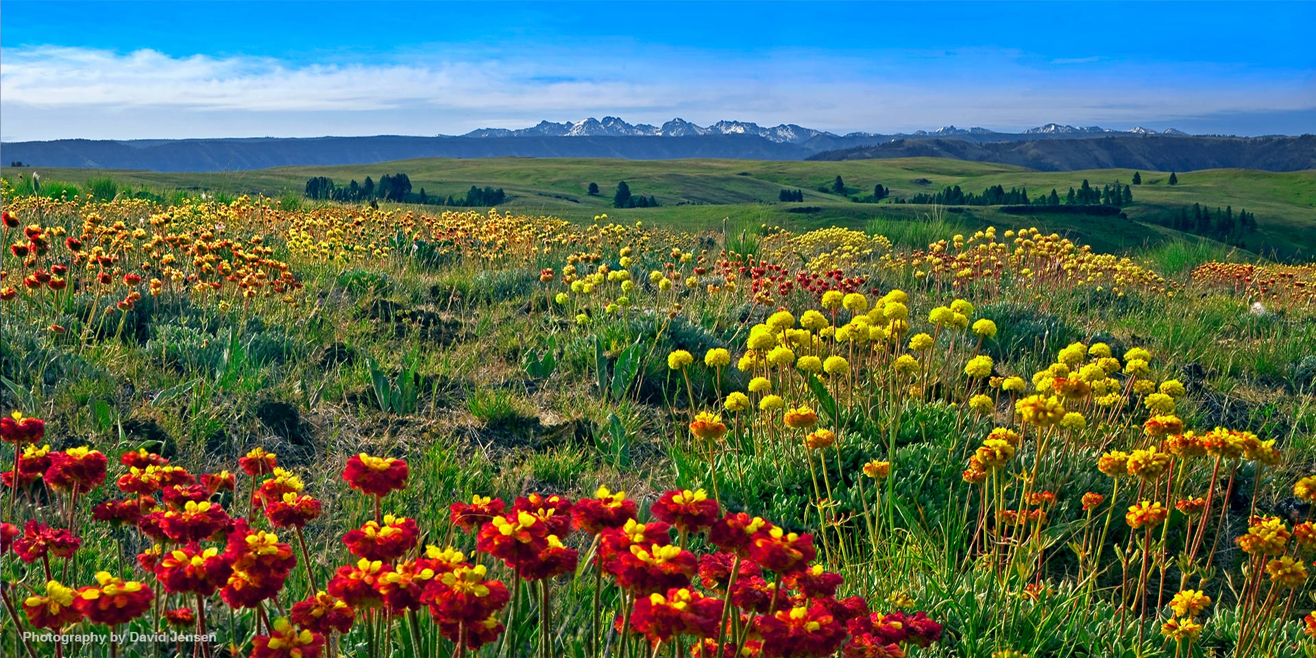 Mountain Prairie